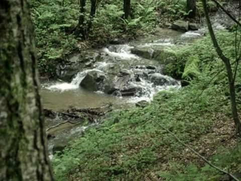 Kuca Za Odmor"Miran San" Villa Podgorić Kültér fotó
